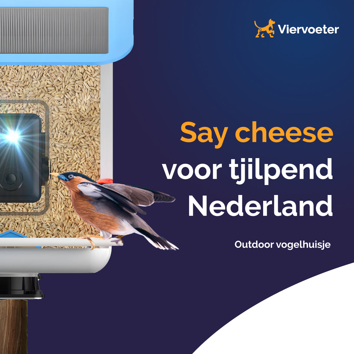 Vogelhuisje Met Camera - AI Vogelherkenning - Vogelvoederhuisje - Raam - Nestkast - Vogelhuisjes Hangend - Vogel - Smart Bird Feeder