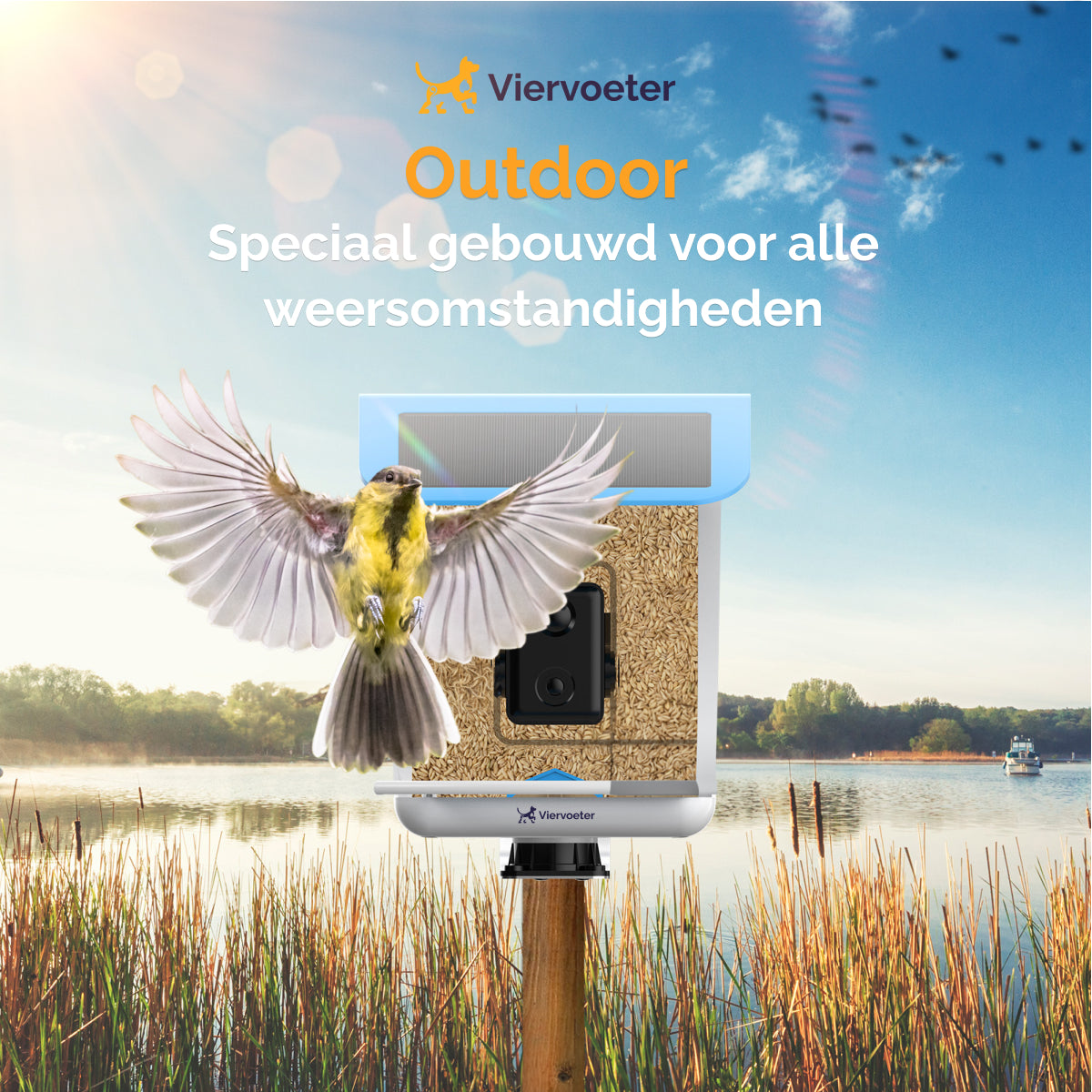 Vogelhuisje Met Camera - AI Vogelherkenning - Vogelvoederhuisje - Raam - Nestkast - Vogelhuisjes Hangend - Vogel - Smart Bird Feeder