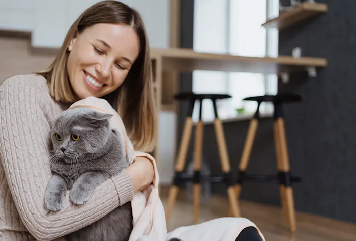 Die 10 Vorteile eines automatischen Futternapfes für Hunde und Katzen