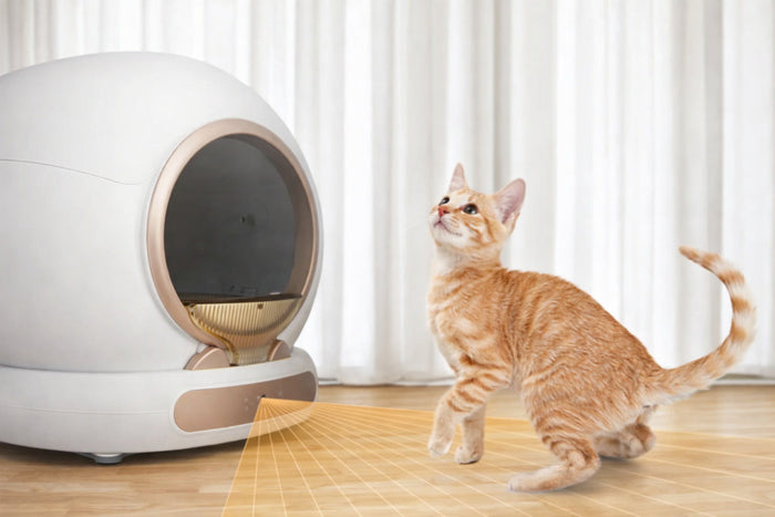 Hoe werken de infrarood- en gewichtssensoren in de automatische kattenbak? 