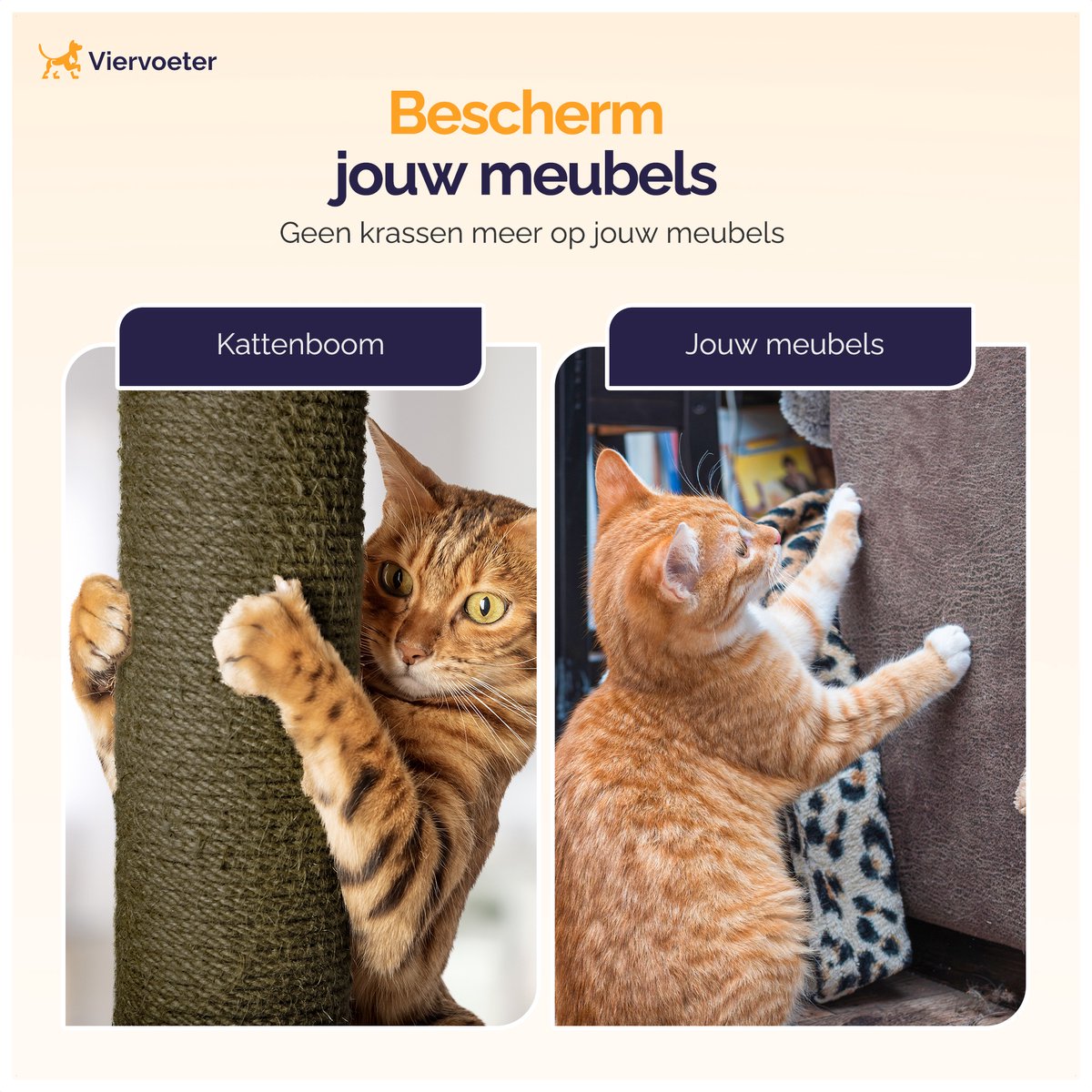Kattenboom met bladeren 165x60x60