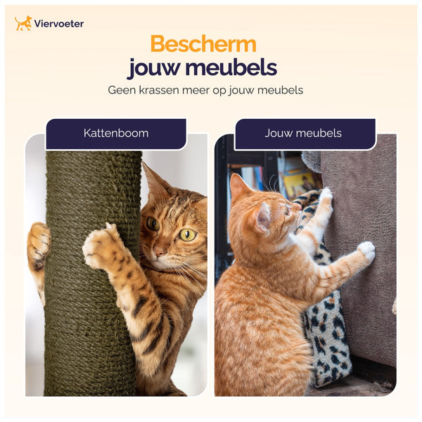 Kattenboom met bladeren 165x60x60