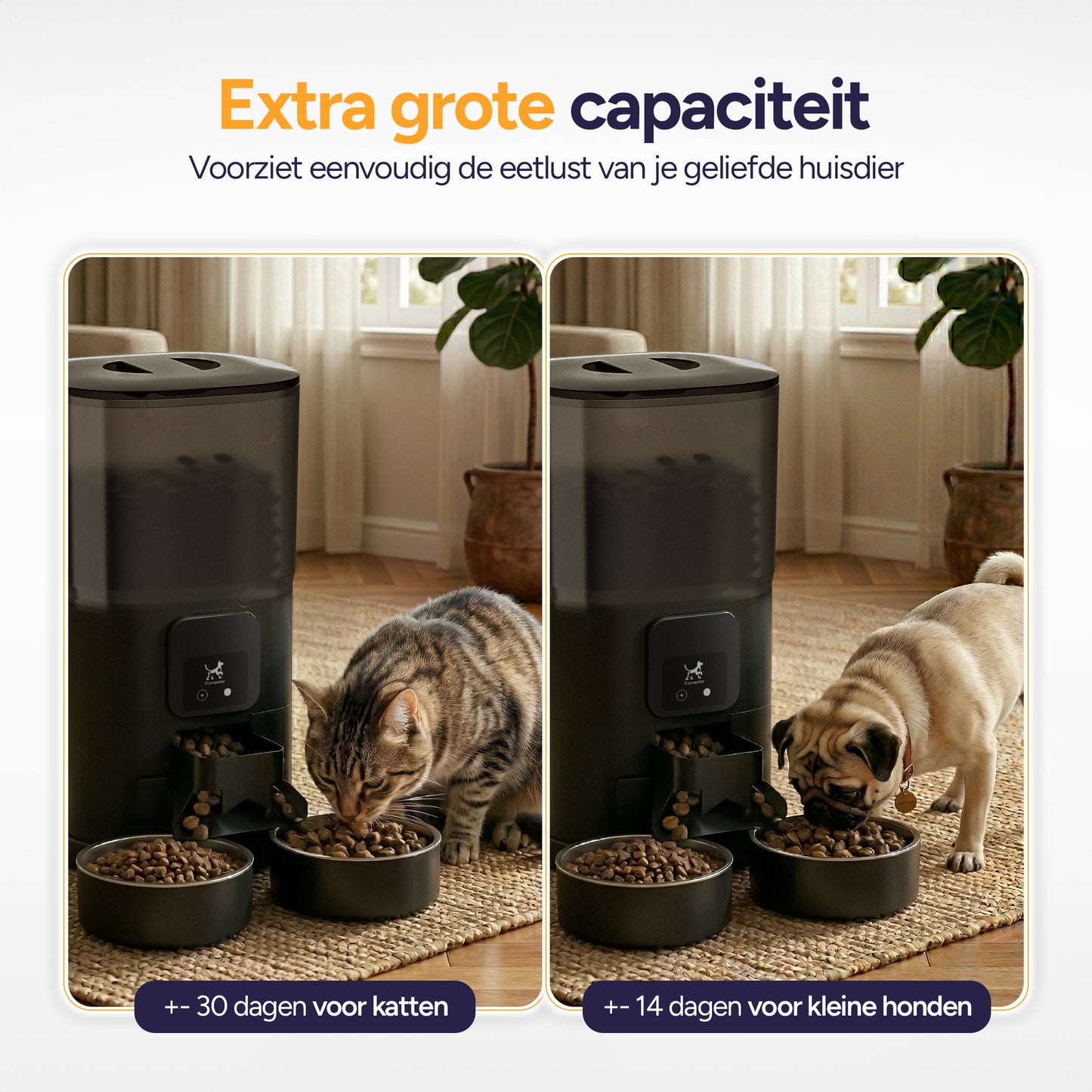 Feed Dual - Voerautomaat - Zwart