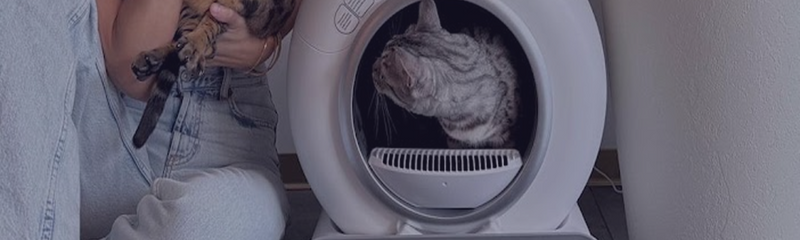 Lifewit Plantenkattenbak met geurverwijderingssysteem, verborgen omheining kattenbak met kunstplant en schep in woonkamer, slaapkamer, hoek, zwart Lifewit Plantenkattenbak met geurverwijderingssysteem, verborgen omheining kattenbak met kunstplant en schep in woonkamer, slaapkamer, hoek, zwart
