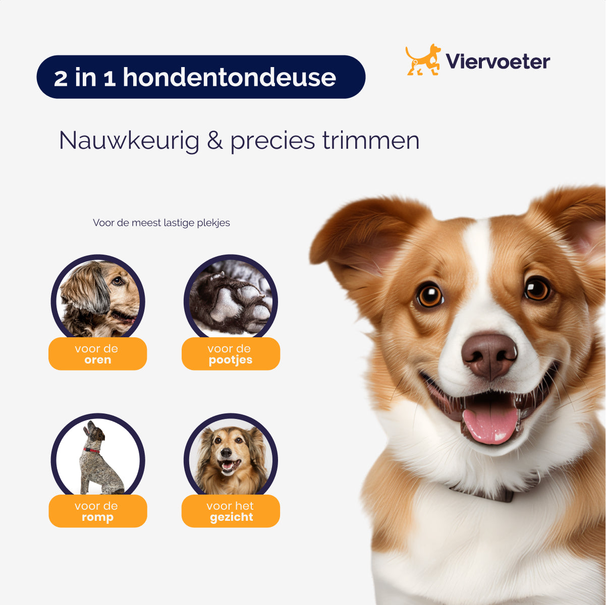 Haustierfriseur – Hundeschermaschine für Vierbeiner 