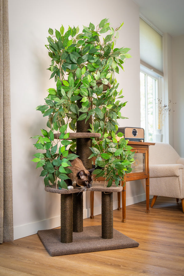 Kattenboom met bladeren 165x60x60