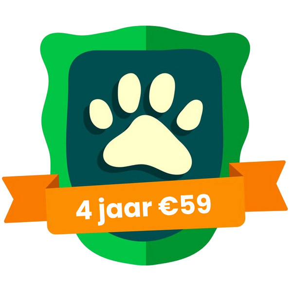 Selbstreinigende Katzentoilette – Modell 2024