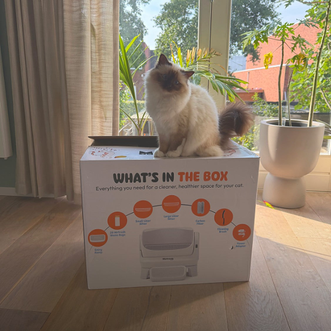 Ragdoll-kat op de doos van de MrFresh OpenMax